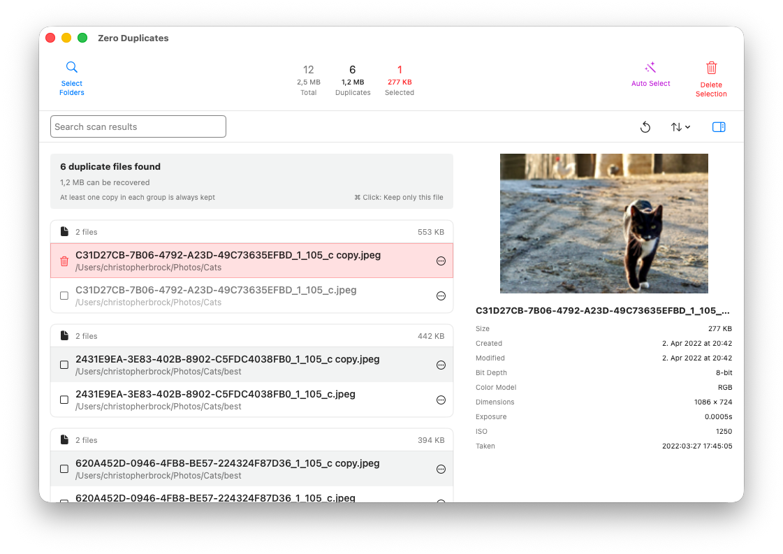 Duplicate file results list with file preview on Mac