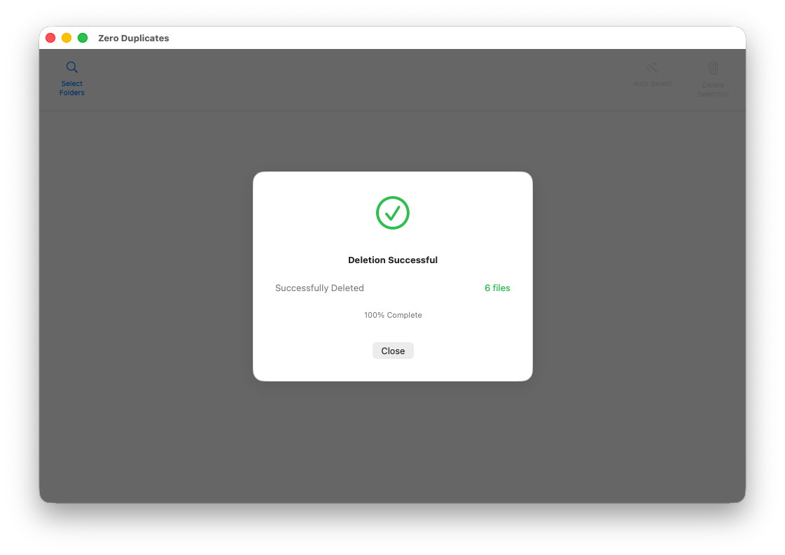 Deletion successful summary after duplicate cleanup